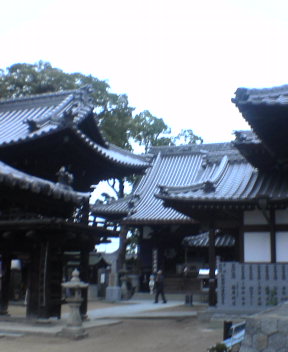 #53 Enmyou-ji　円明寺