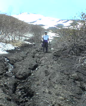 Snow Melt Trails