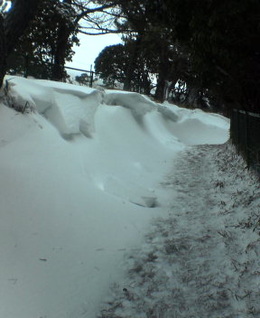 SNOW DRIFTS